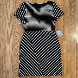 Tahari Arthur S Levine Ottoman Ribbed Sheath Dress Striped Sz 8 New